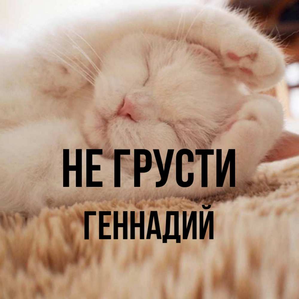 Открытка на каждый день с именем, Геннадий Не грусти Котенок спит Прикольная открытка с пожеланием онлайн скачать бесплатно 