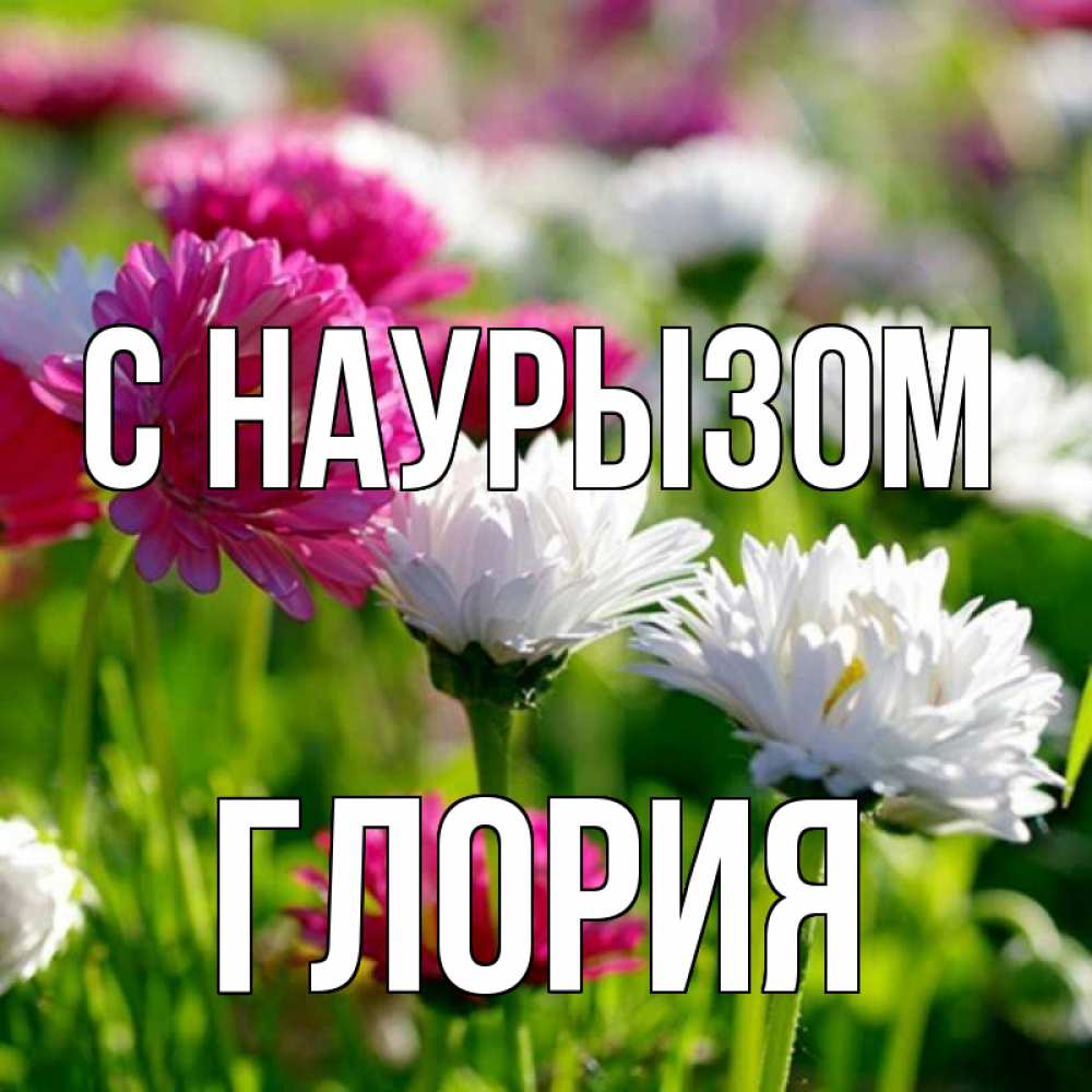 Открытка на каждый день с именем, Глория С наурызом праздник весны наурыз красота Прикольная открытка с пожеланием онлайн скачать бесплатно 