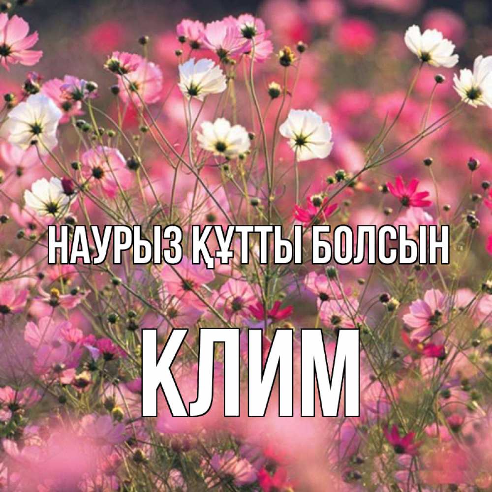Открытка на каждый день с именем, Клим Наурыз құтты болсын красиво 1 Прикольная открытка с пожеланием онлайн скачать бесплатно 