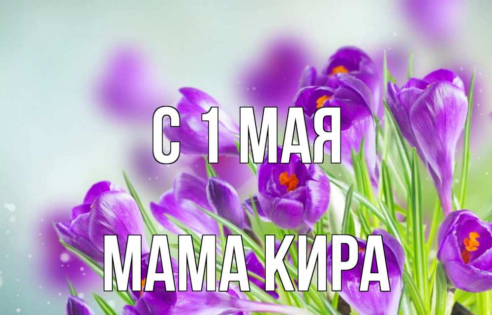 Открытка на каждый день с именем, Мама-Кира С 1 мая 1 мая Прикольная открытка с пожеланием онлайн скачать бесплатно 