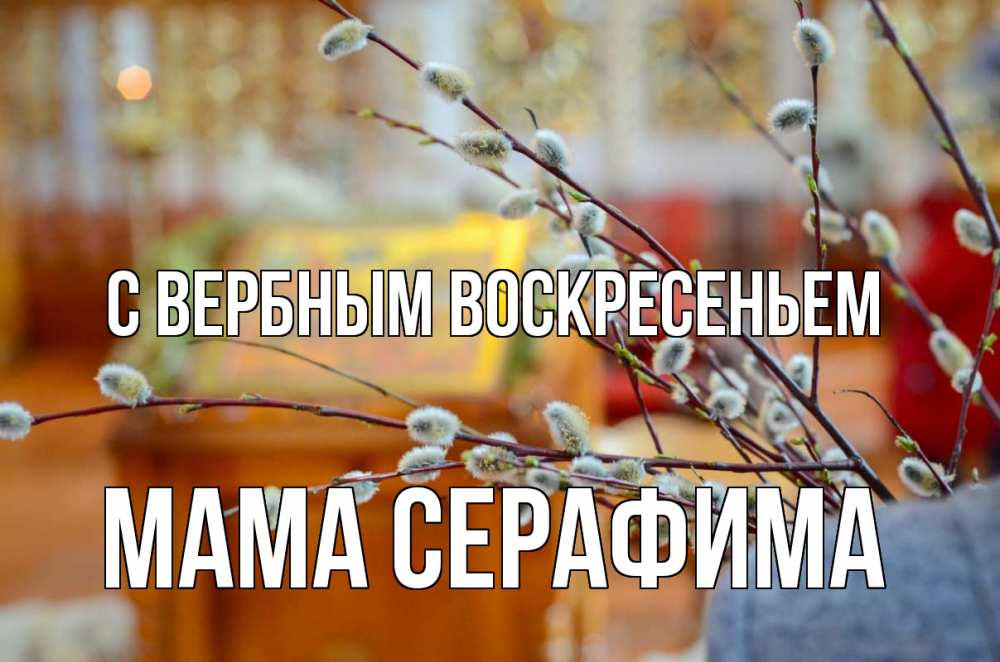 Открытка на каждый день с именем, Мама-Серафима С вербным воскресеньем верба Прикольная открытка с пожеланием онлайн скачать бесплатно 
