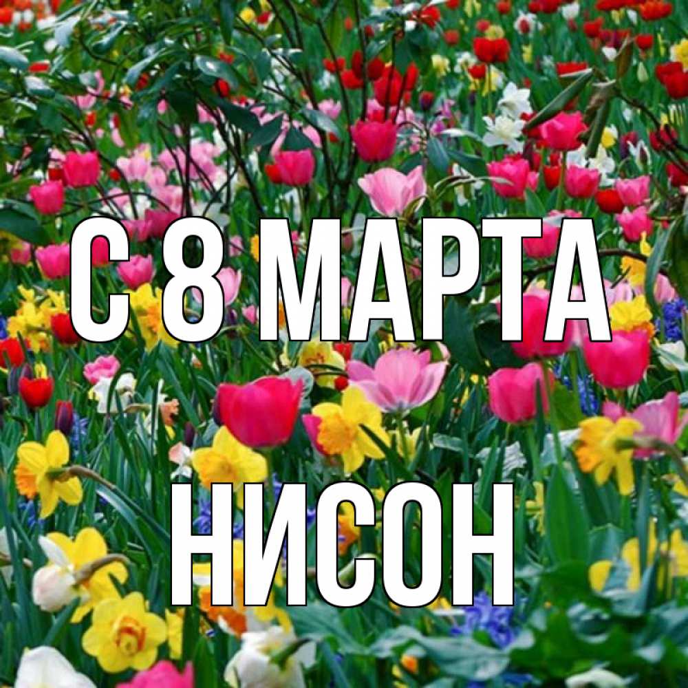 Открытка на каждый день с именем, Нисон С 8 марта с международным женским днем поздравления для женщины Прикольная открытка с пожеланием онлайн скачать бесплатно 