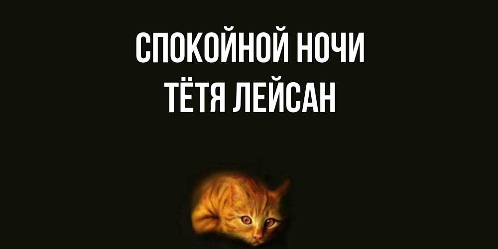 Открытка на каждый день с именем, Тётя-Лейсан Спокойной ночи кот Прикольная открытка с пожеланием онлайн скачать бесплатно 