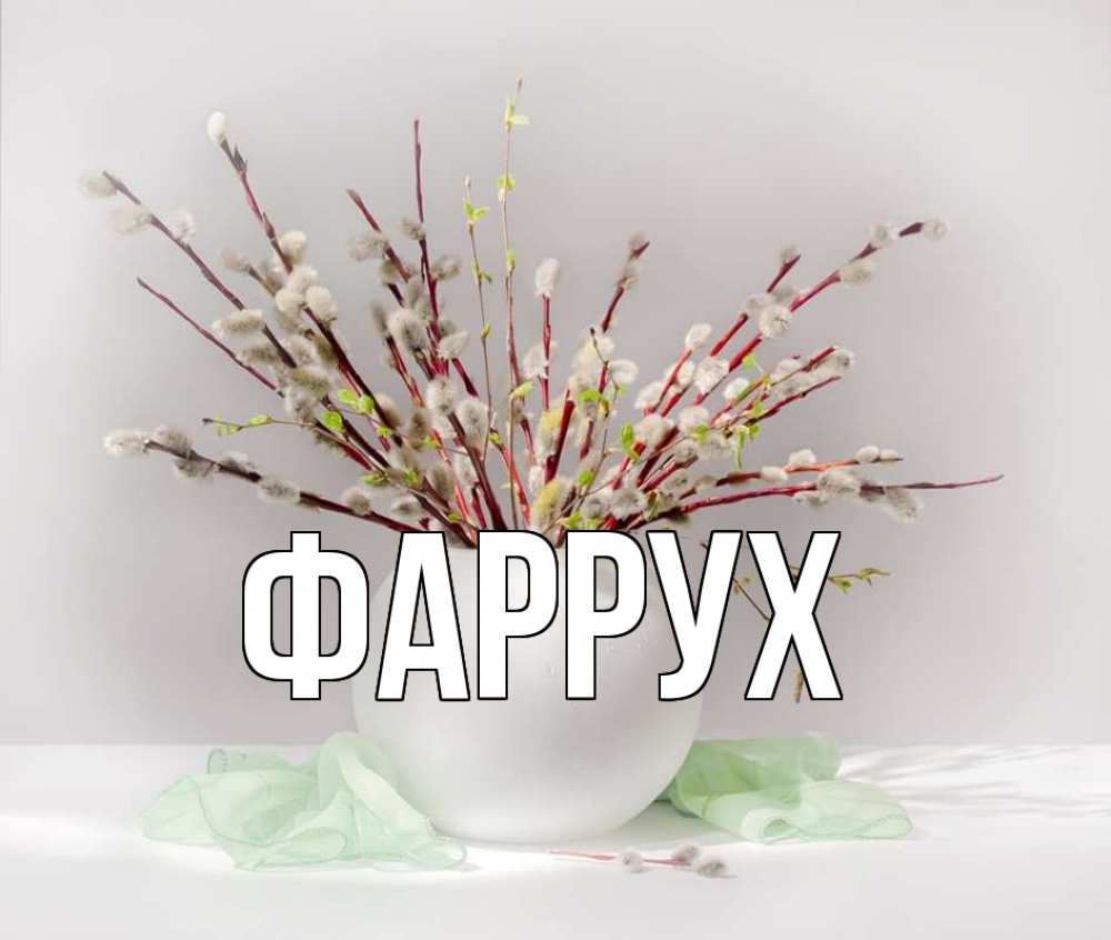 Открытка на каждый день с именем, Фаррух Главная верба Прикольная открытка с пожеланием онлайн скачать бесплатно 