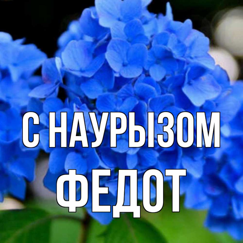 Открытка на каждый день с именем, Федот С наурызом синие цветы Прикольная открытка с пожеланием онлайн скачать бесплатно 