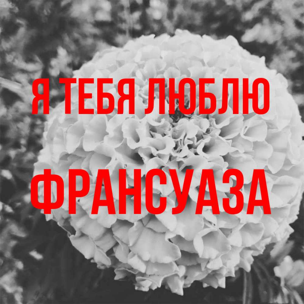 Открытка на каждый день с именем, Франсуаза Я тебя люблю подпись Прикольная открытка с пожеланием онлайн скачать бесплатно 