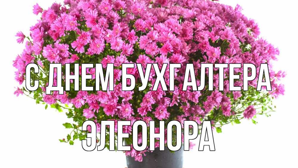 Открытка на каждый день с именем, Элеонора С днем бухгалтера с днем бухгалтера Прикольная открытка с пожеланием онлайн скачать бесплатно 