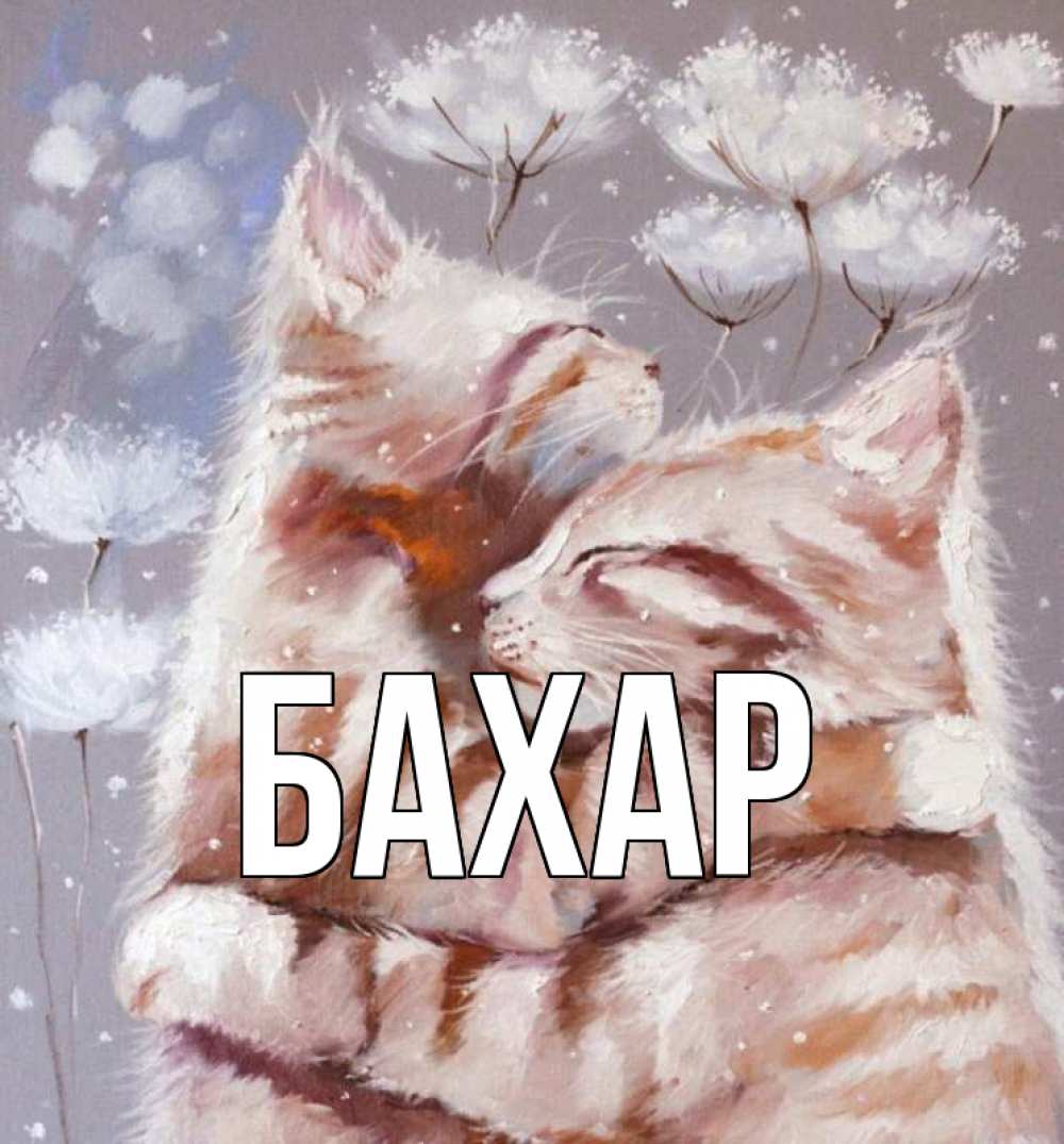 Открытка на каждый день с именем, Бахар Главная Море и горы Прикольная открытка с пожеланием онлайн скачать бесплатно 