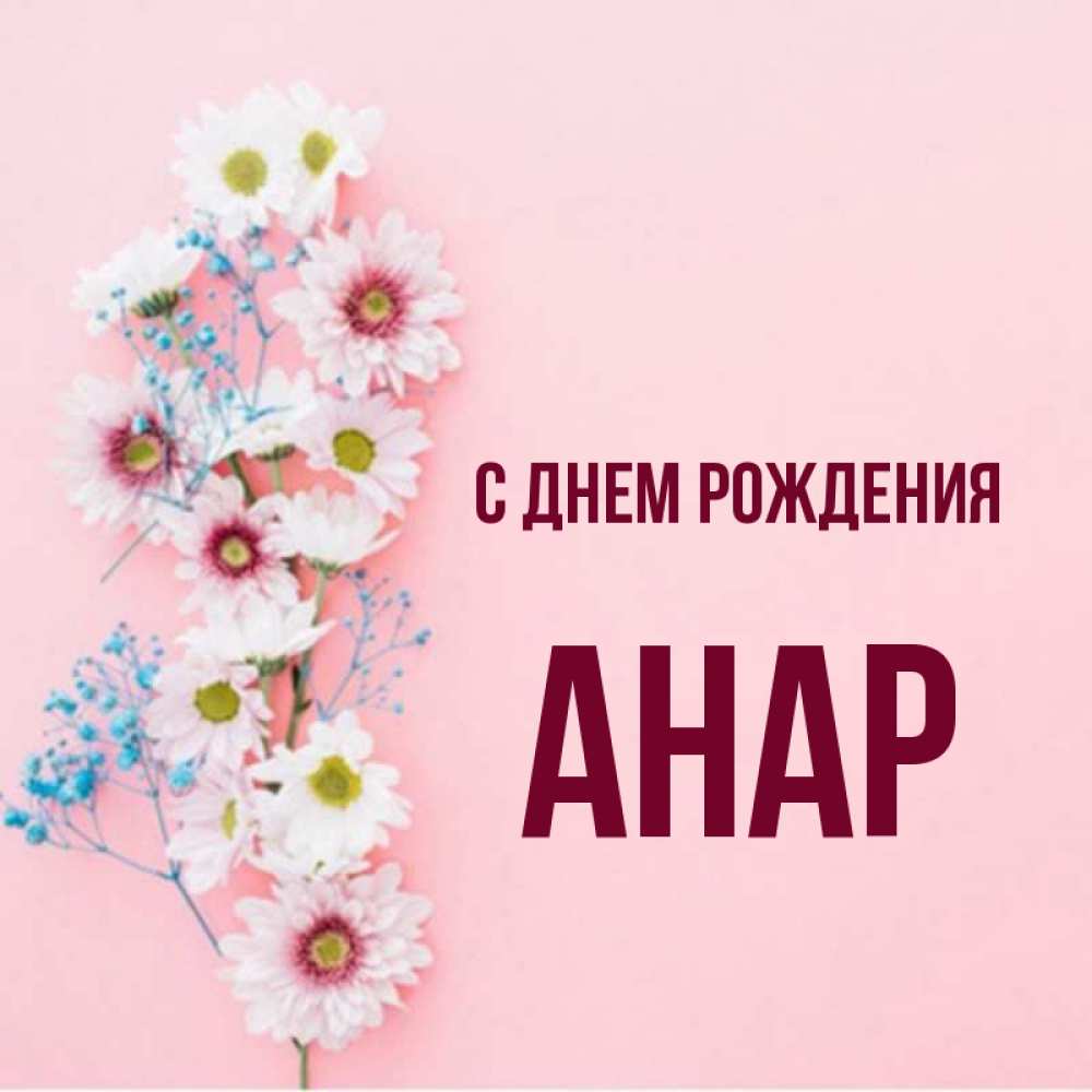 С днем рождения анар картинки