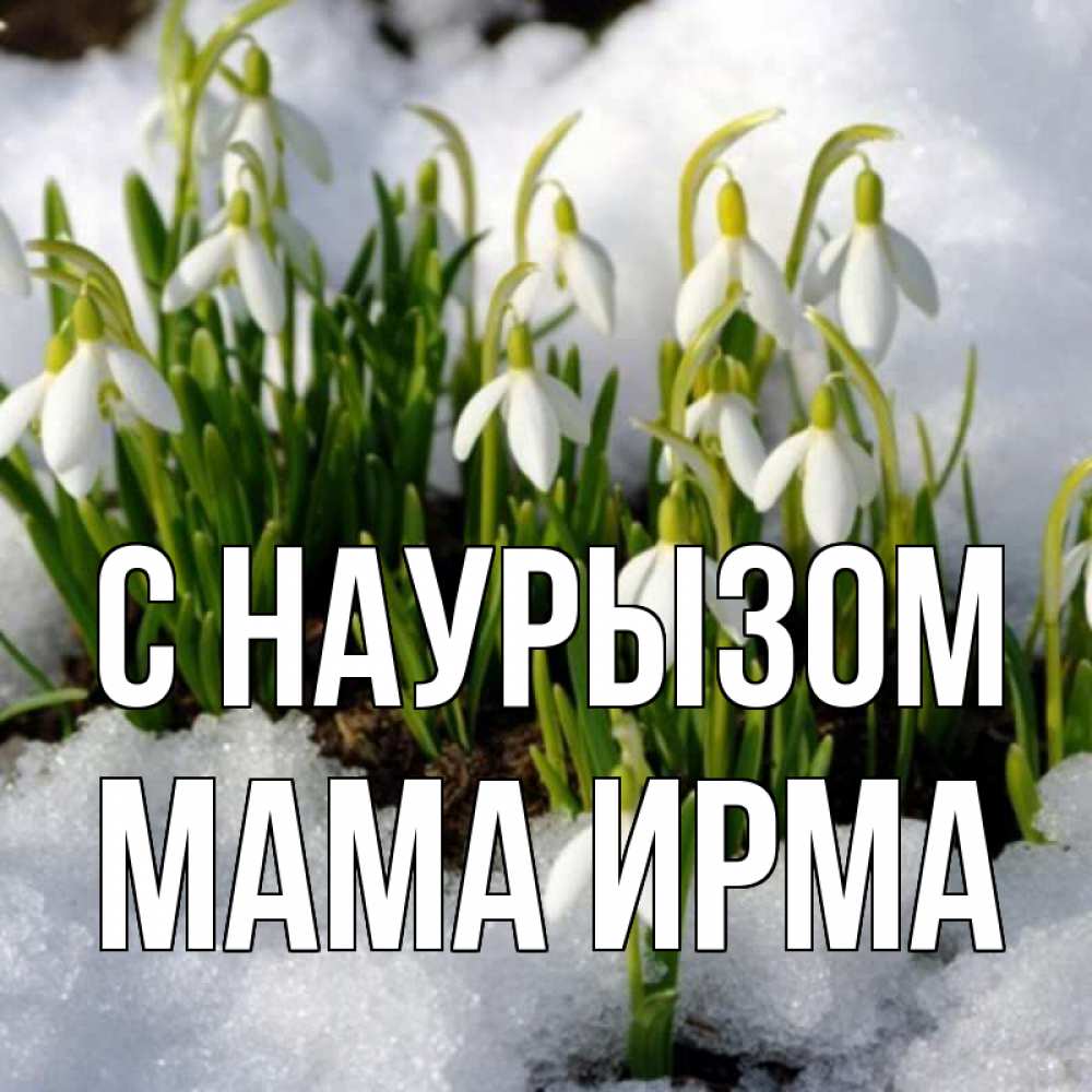 Открытка на каждый день с именем, Мама-Ирма С наурызом цветы весенние Прикольная открытка с пожеланием онлайн скачать бесплатно 
