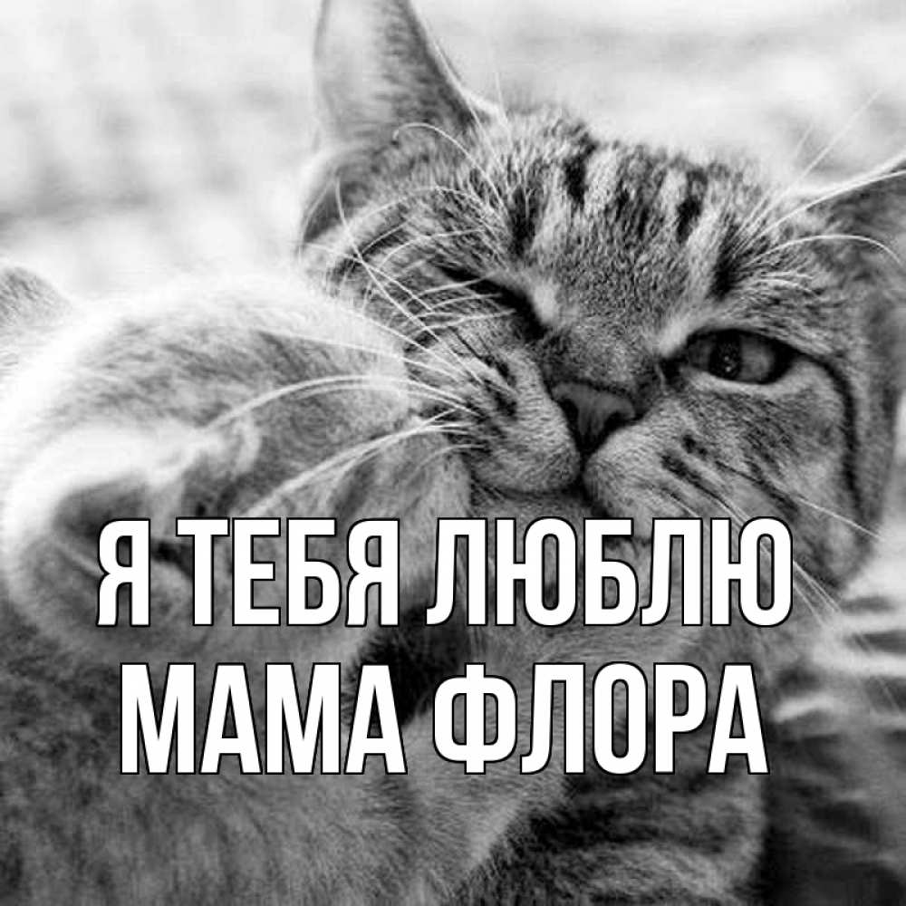 Открытка на каждый день с именем, Мама-Флора Я тебя люблю коты Прикольная открытка с пожеланием онлайн скачать бесплатно 