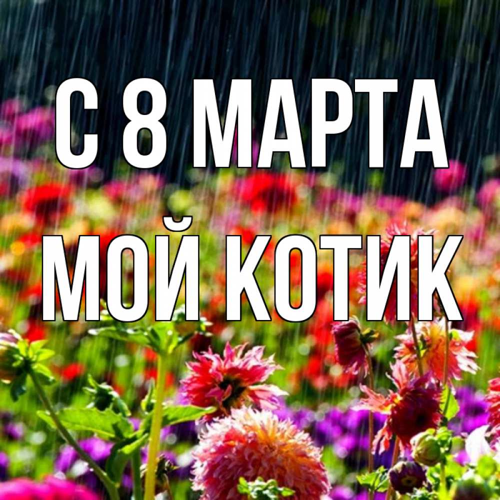 Открытка на каждый день с именем, мой-Котик С 8 МАРТА цветы под дождиком к международному женскому дню Прикольная открытка с пожеланием онлайн скачать бесплатно 