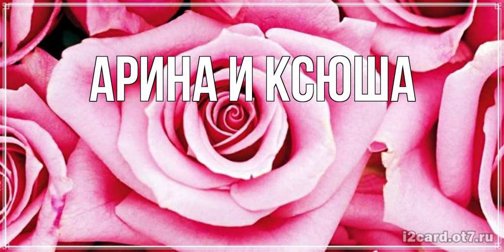 Открытка на каждый день с именем, Арина-и-Ксюша Главная открытка с розовой розой на день рождения Прикольная открытка с пожеланием онлайн скачать бесплатно 