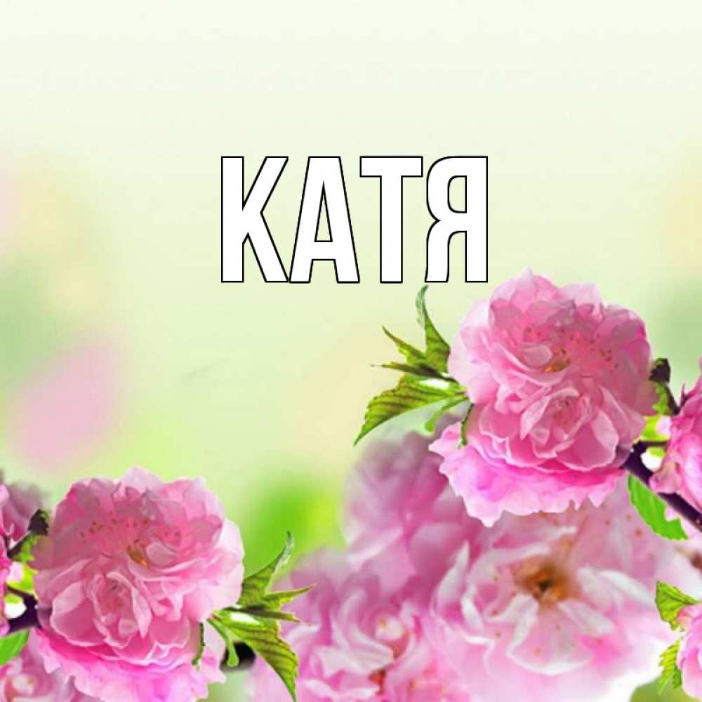 Открытка на каждый день с именем, Катя Главная цветы Прикольная открытка с пожеланием онлайн скачать бесплатно 