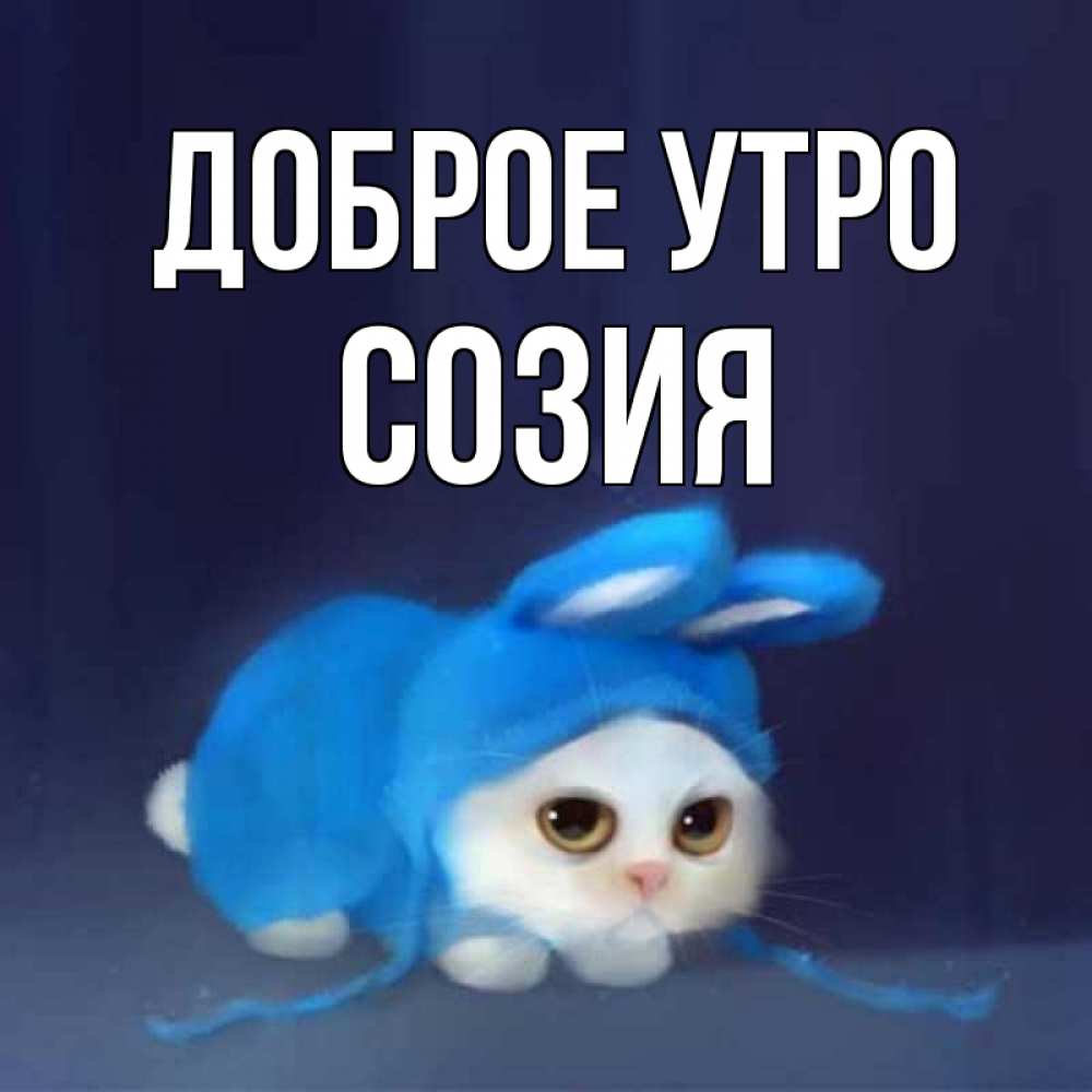 Открытка на каждый день с именем, Созия Доброе утро открытки красивые скачать бесплатно Прикольная открытка с пожеланием онлайн скачать бесплатно 