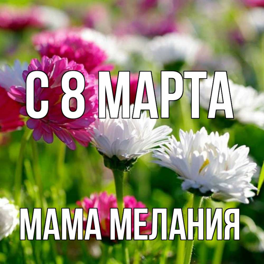 Открытка на каждый день с именем, Мама-Мелания С 8 МАРТА международный женский день 1 Прикольная открытка с пожеланием онлайн скачать бесплатно 