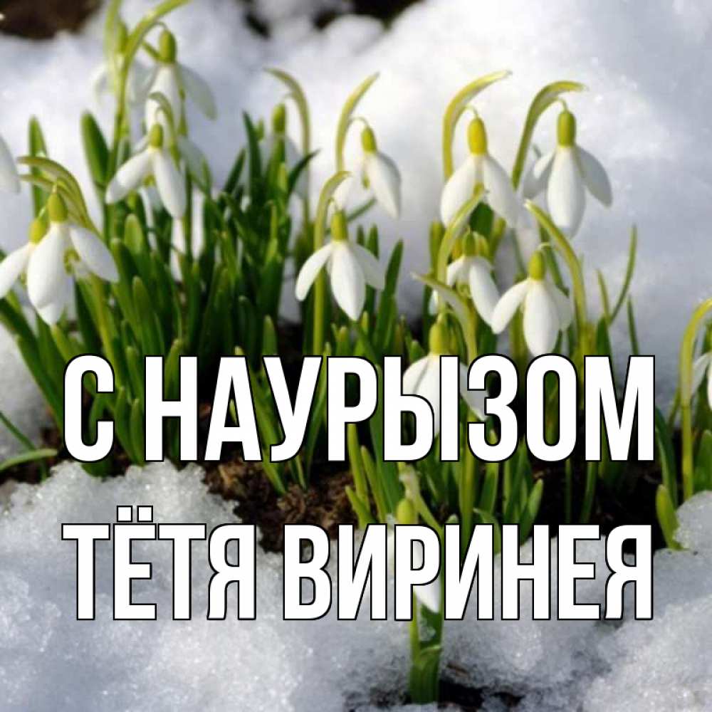 Открытка на каждый день с именем, Тётя-Виринея С наурызом цветы весенние Прикольная открытка с пожеланием онлайн скачать бесплатно 