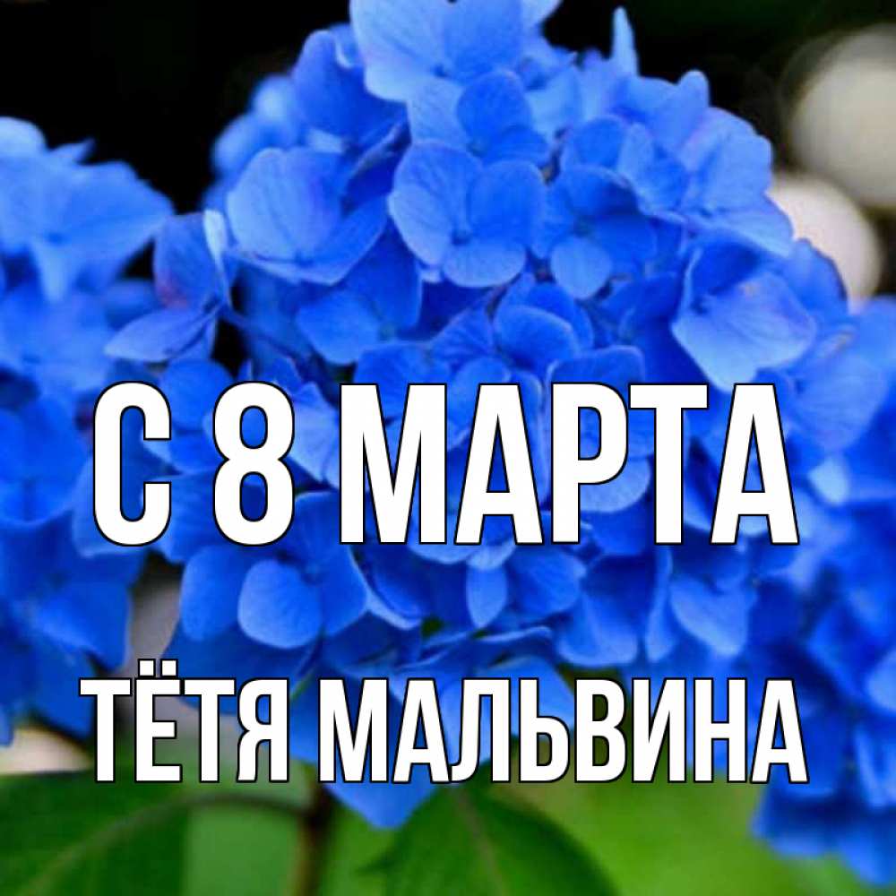 Открытка на каждый день с именем, Тётя-Мальвина С 8 МАРТА синие цветы Прикольная открытка с пожеланием онлайн скачать бесплатно 