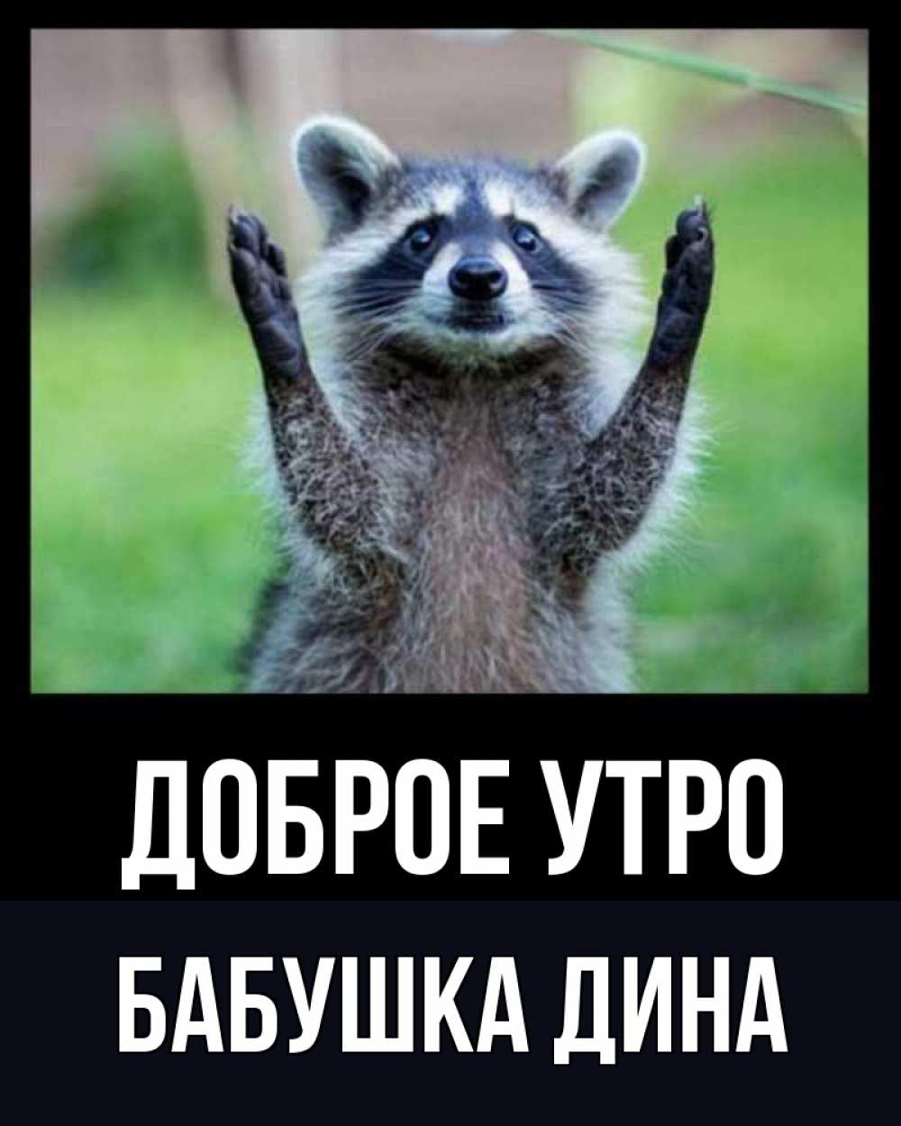 Открытка на каждый день с именем, Бабушка-Дина Доброе утро хорошее настроение утречком Прикольная открытка с пожеланием онлайн скачать бесплатно 