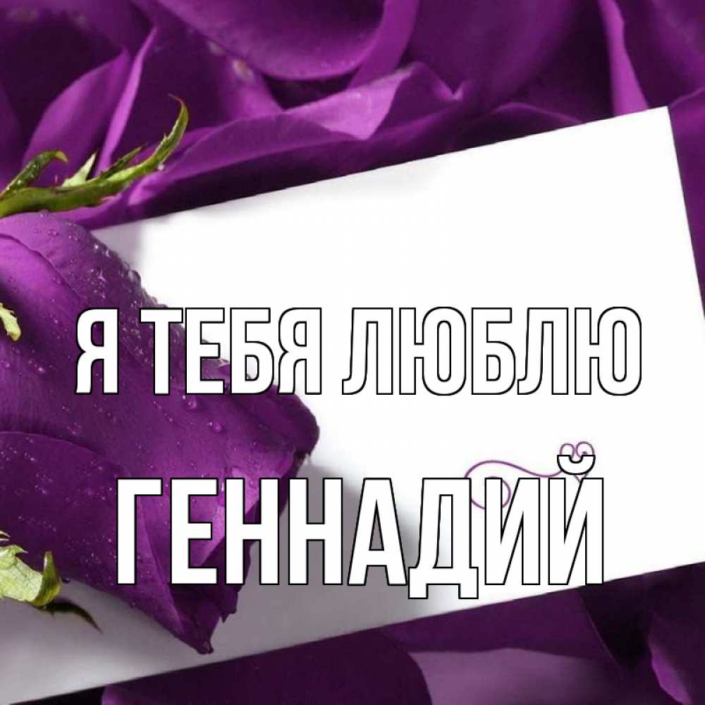 Открытка на каждый день с именем, Геннадий Я тебя люблю роза Прикольная открытка с пожеланием онлайн скачать бесплатно 