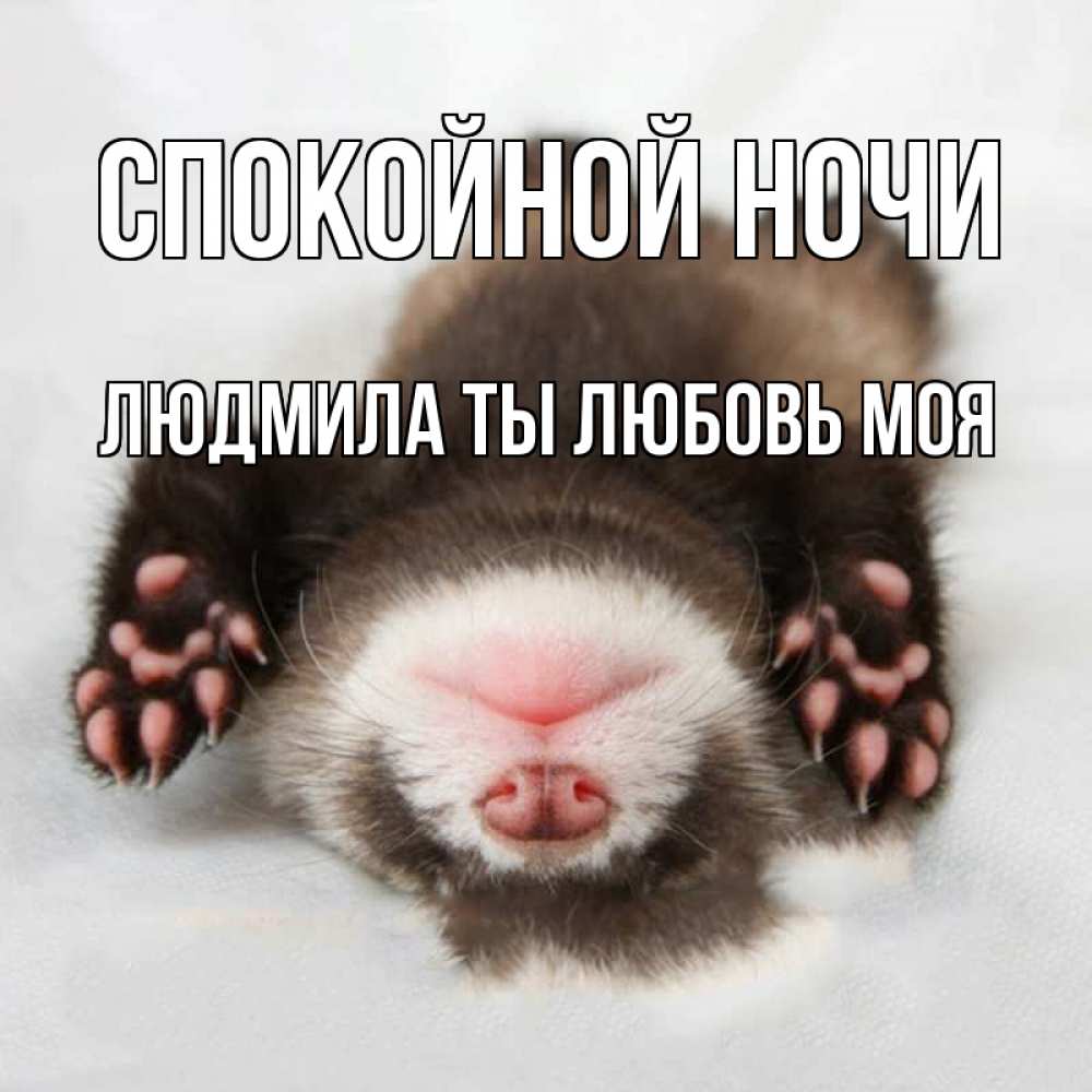 Открытка на каждый день с именем, Людмила-ты-любовь-моя Спокойной ночи зверек Прикольная открытка с пожеланием онлайн скачать бесплатно 