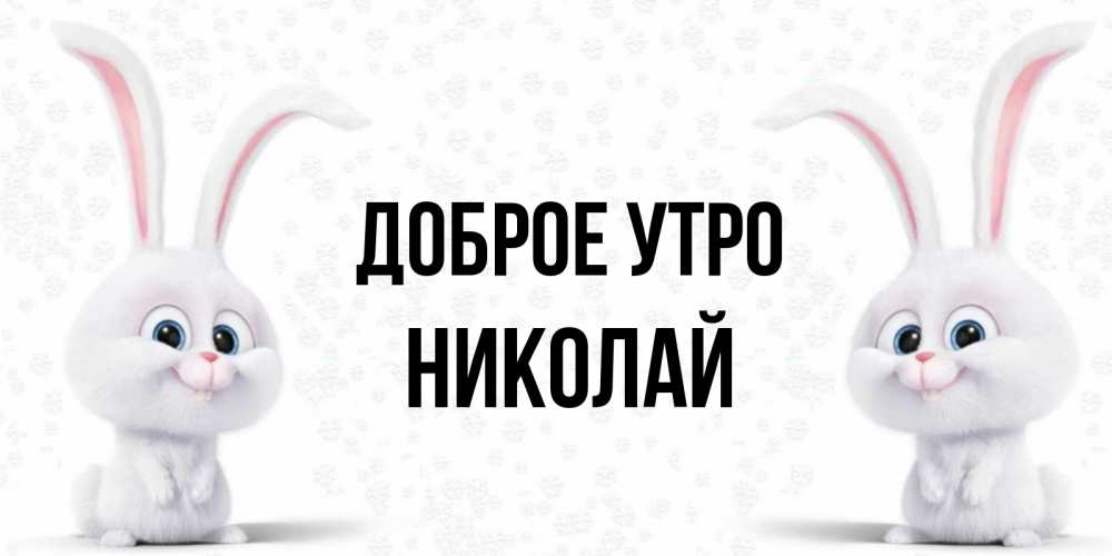 Открытка на каждый день с именем, Николай Доброе утро кролики с длинными ушками Прикольная открытка с пожеланием онлайн скачать бесплатно 