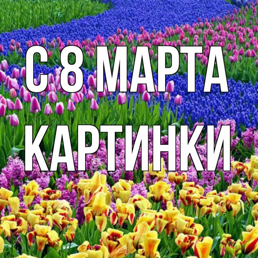 Открытка на каждый день с именем, Картинки С 8 МАРТА цветы Прикольная открытка с пожеланием онлайн скачать бесплатно 