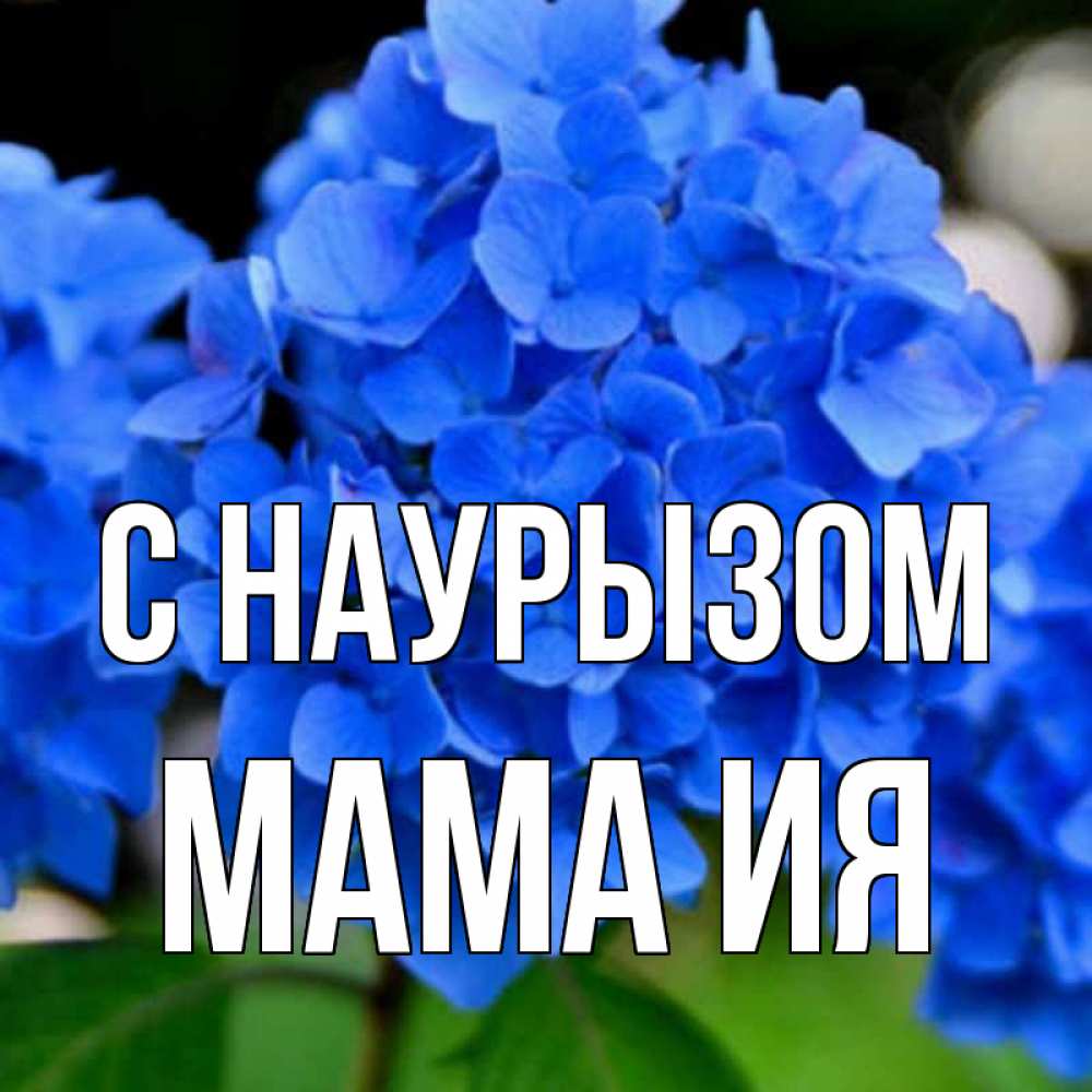 Открытка на каждый день с именем, Мама-Ия С наурызом синие цветы Прикольная открытка с пожеланием онлайн скачать бесплатно 