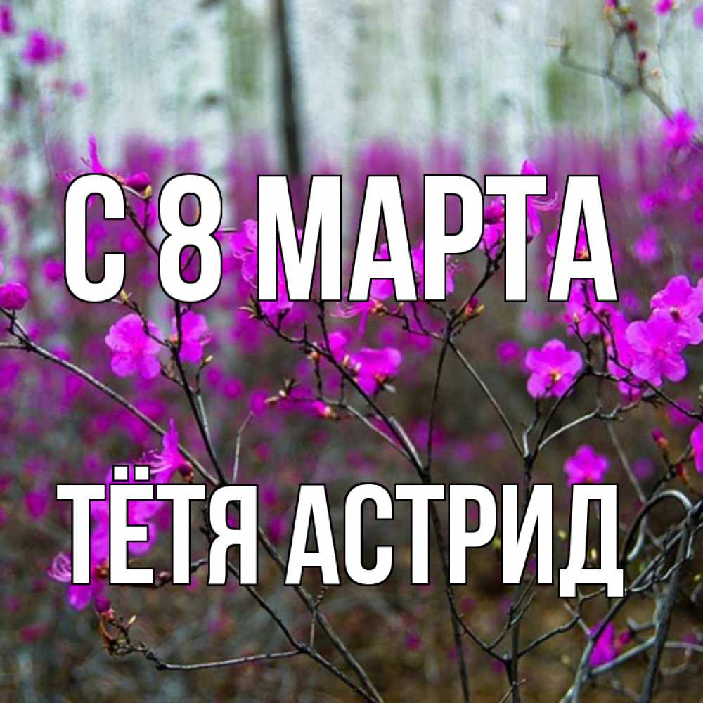 Открытка на каждый день с именем, Тётя-Астрид С 8 марта дикие цветы Прикольная открытка с пожеланием онлайн скачать бесплатно 