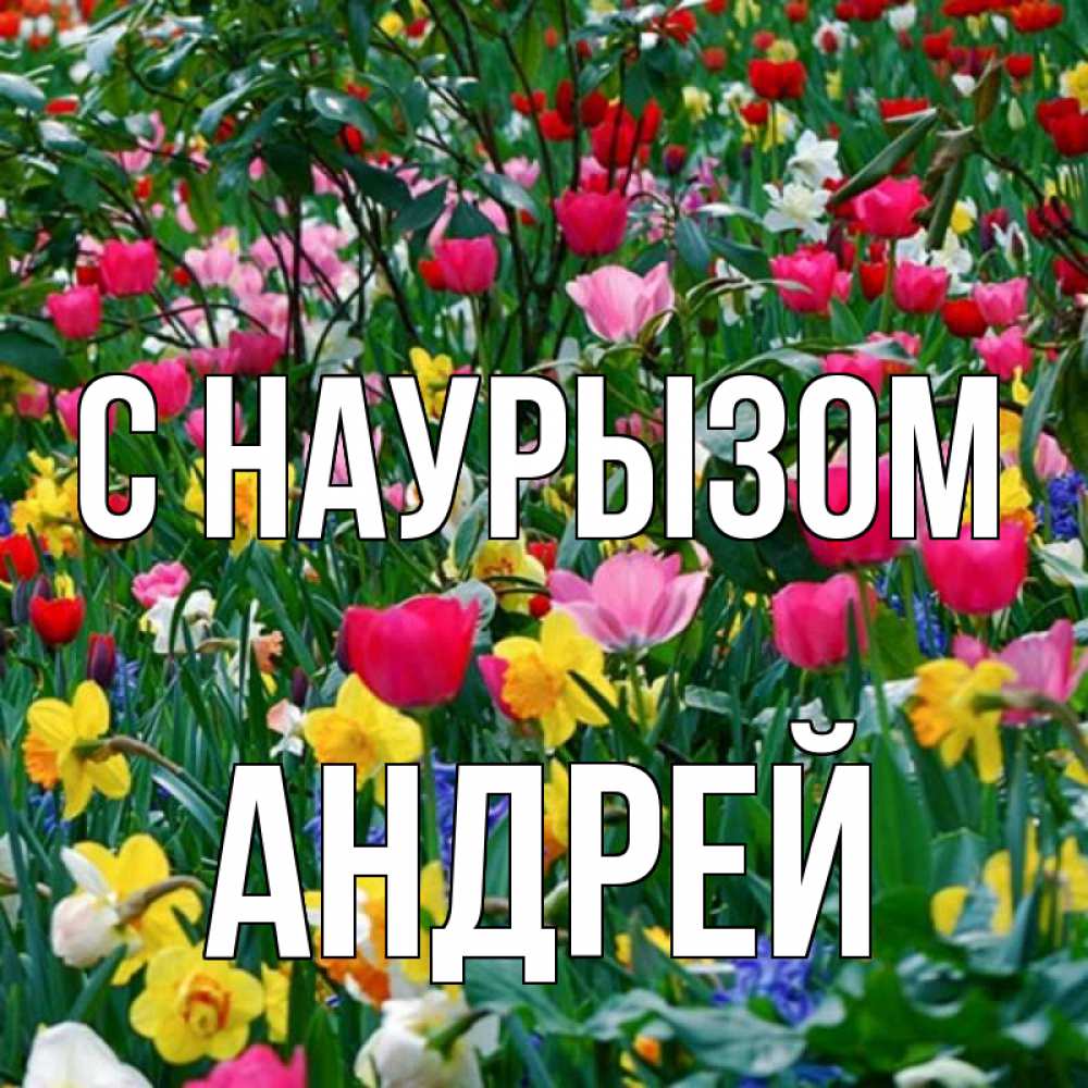 Открытка на каждый день с именем, Андрей С наурызом с наурызом праздником весны поздравления для женщины Прикольная открытка с пожеланием онлайн скачать бесплатно 
