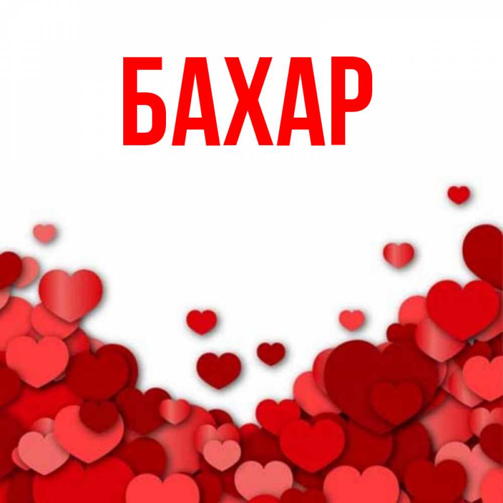 Открытка на каждый день с именем, Бахар Главная много красных сердечек о любви Прикольная открытка с пожеланием онлайн скачать бесплатно 