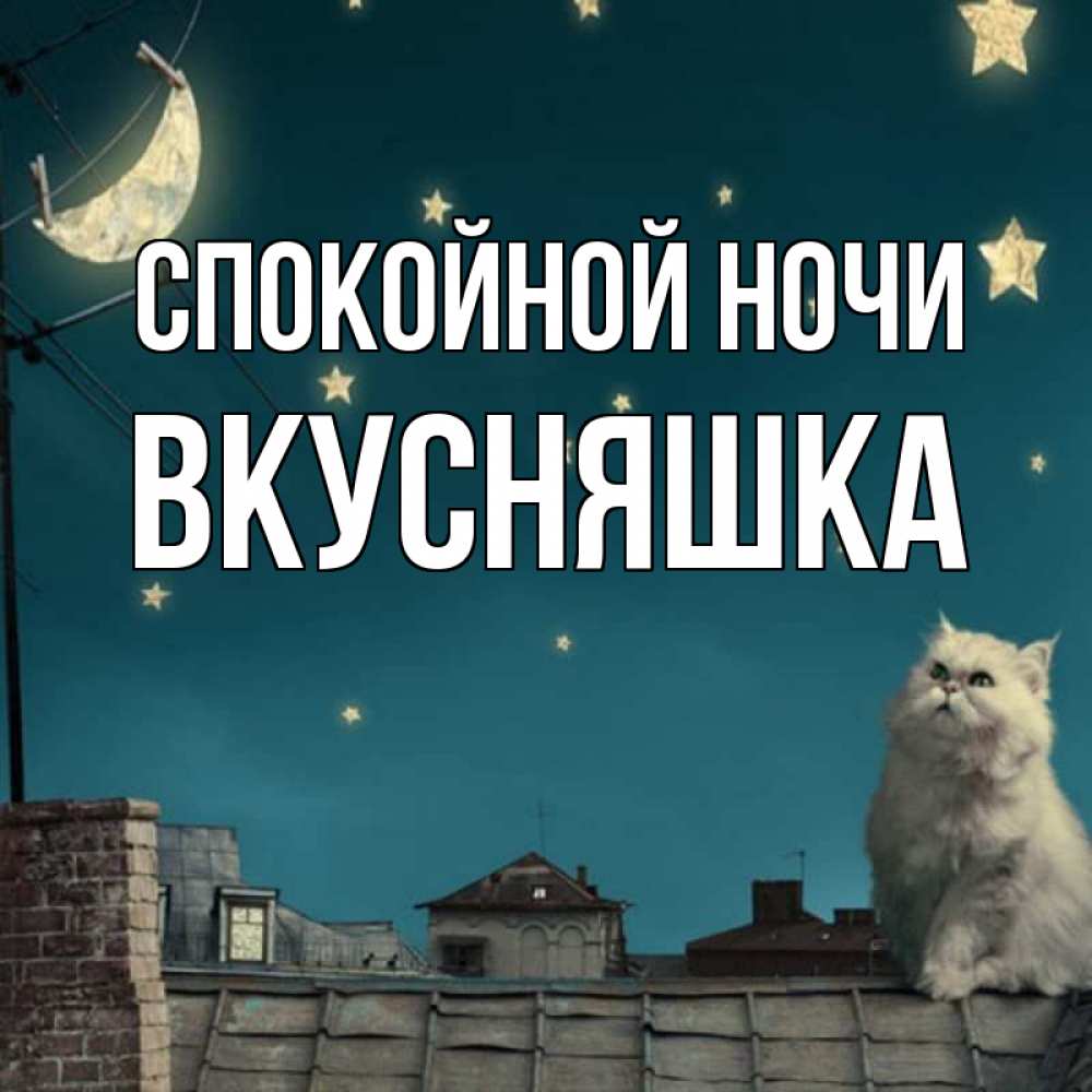 Открытка на каждый день с именем, Вкусняшка Спокойной ночи белый кот сидит на крыше Прикольная открытка с пожеланием онлайн скачать бесплатно 
