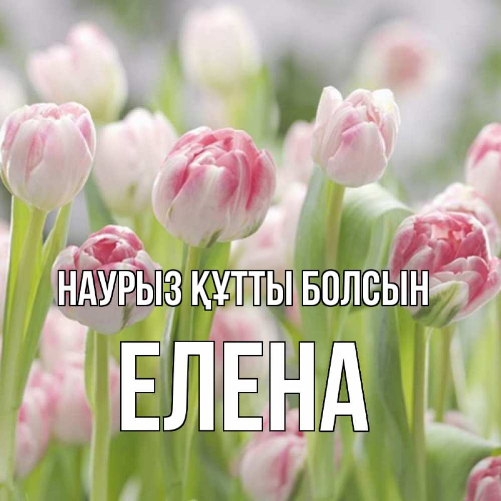 Открытка на каждый день с именем, Елена Наурыз құтты болсын цветы Прикольная открытка с пожеланием онлайн скачать бесплатно 