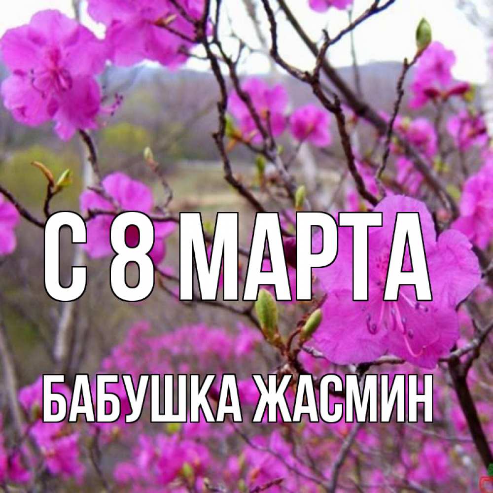 Открытка на каждый день с именем, Бабушка-Жасмин С 8 МАРТА международный женский день Прикольная открытка с пожеланием онлайн скачать бесплатно 