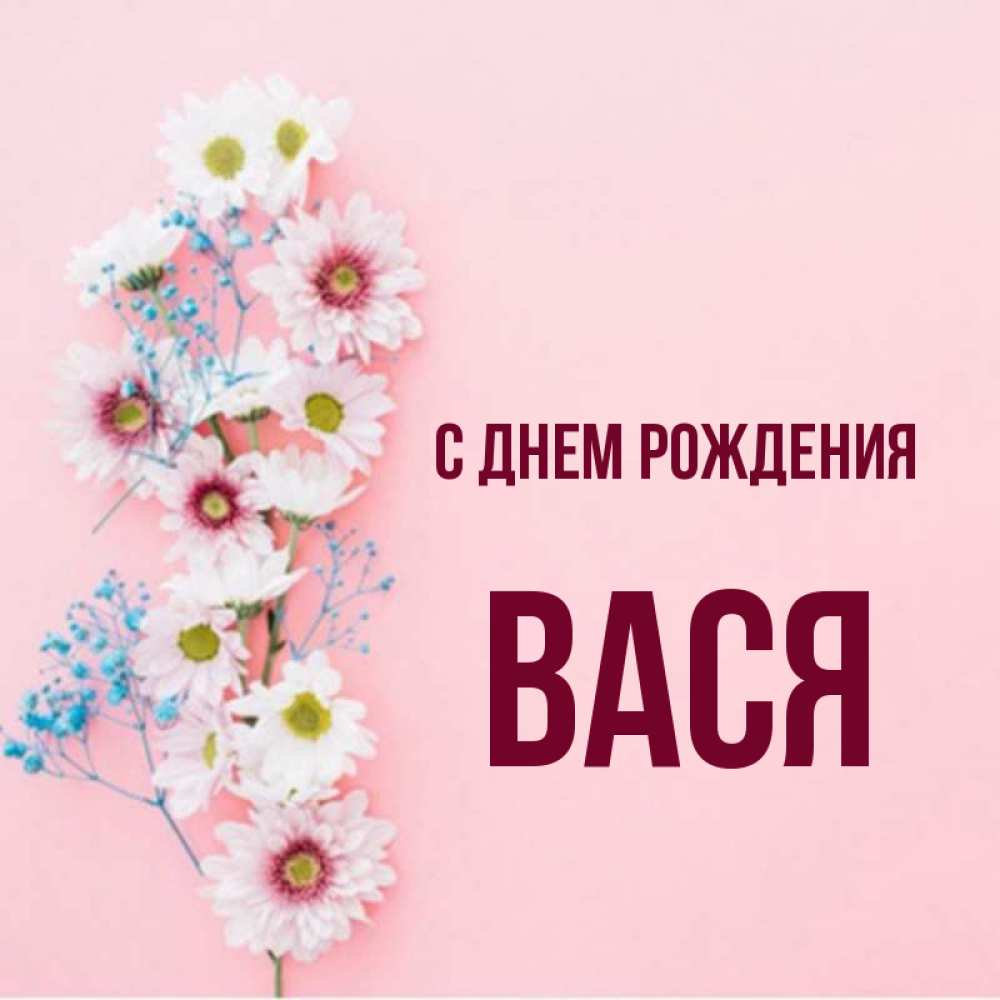Открытка на каждый день с именем, Вася С днем рождения Родная моя с днем рождения тебя картинка с цветами белыми и голубыми Прикольная открытка с пожеланием онлайн скачать бесплатно 