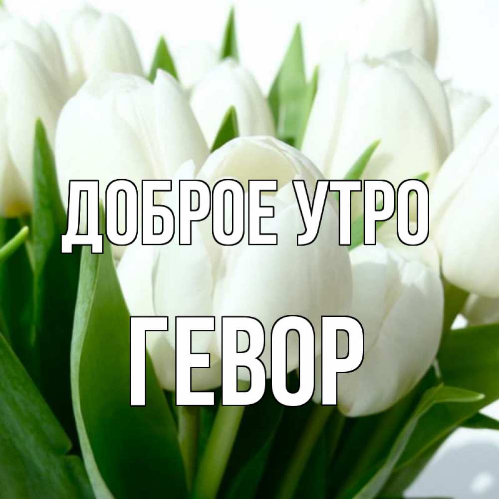Открытка на каждый день с именем, Гевор Доброе утро открытки на каждый день по именам Прикольная открытка с пожеланием онлайн скачать бесплатно 