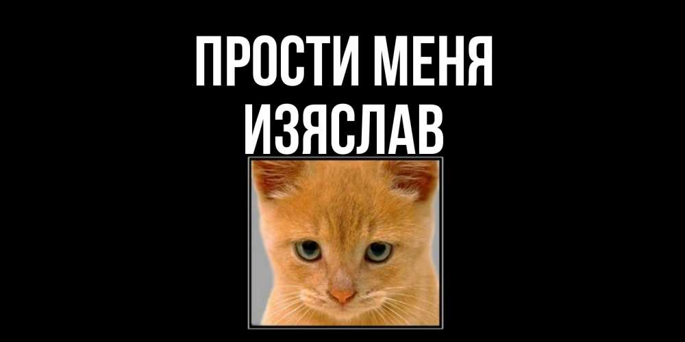 Открытка на каждый день с именем, Изяслав Прости меня рыжий грустный кот просит прощения Прикольная открытка с пожеланием онлайн скачать бесплатно 