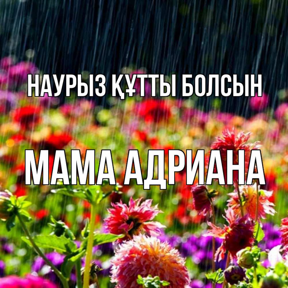 Открытка на каждый день с именем, Мама-Адриана Наурыз құтты болсын цветы под дождиком к наурызу Прикольная открытка с пожеланием онлайн скачать бесплатно 