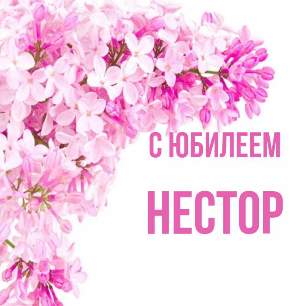 Открытка на каждый день с именем, Нестор С юбилеем Сирень на белом фоне Прикольная открытка с пожеланием онлайн скачать бесплатно 