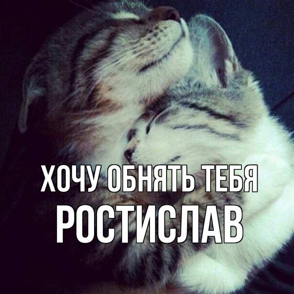 Открытка на каждый день с именем, Ростислав Хочу обнять тебя полосатики Прикольная открытка с пожеланием онлайн скачать бесплатно 