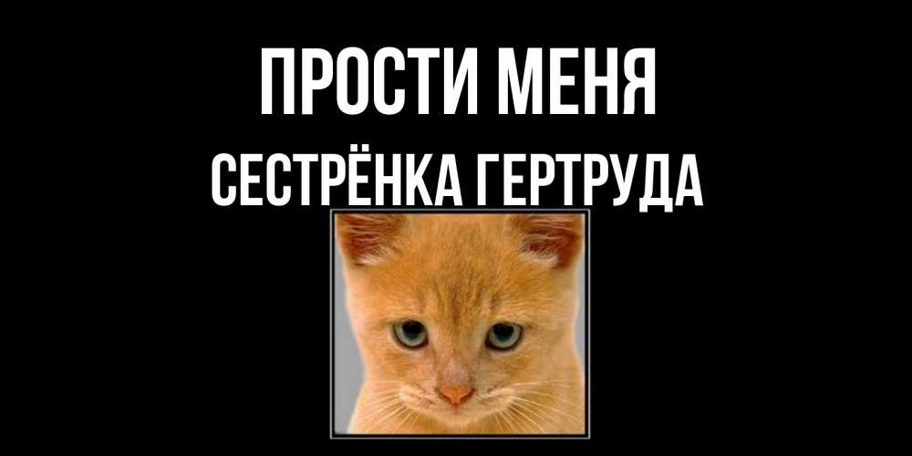 Открытка на каждый день с именем, Сестрёнка-Гертруда Прости меня рыжий грустный кот просит прощения Прикольная открытка с пожеланием онлайн скачать бесплатно 