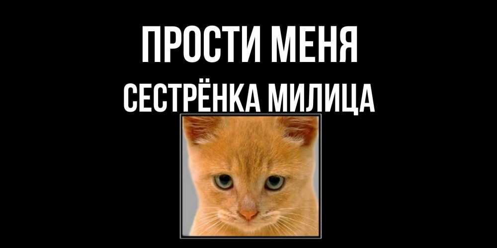 Открытка на каждый день с именем, Сестрёнка-Милица Прости меня рыжий грустный кот просит прощения Прикольная открытка с пожеланием онлайн скачать бесплатно 