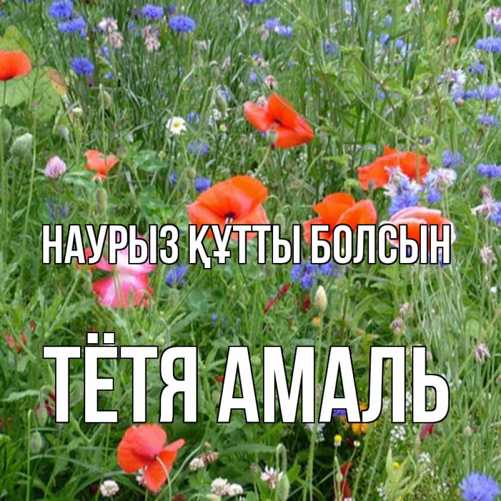 Открытка на каждый день с именем, Тётя-Амаль Наурыз құтты болсын наурыз  4 Прикольная открытка с пожеланием онлайн скачать бесплатно 