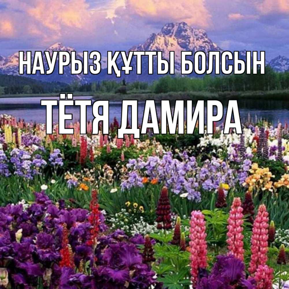Открытка на каждый день с именем, Тётя-Дамира Наурыз құтты болсын наурыз Прикольная открытка с пожеланием онлайн скачать бесплатно 