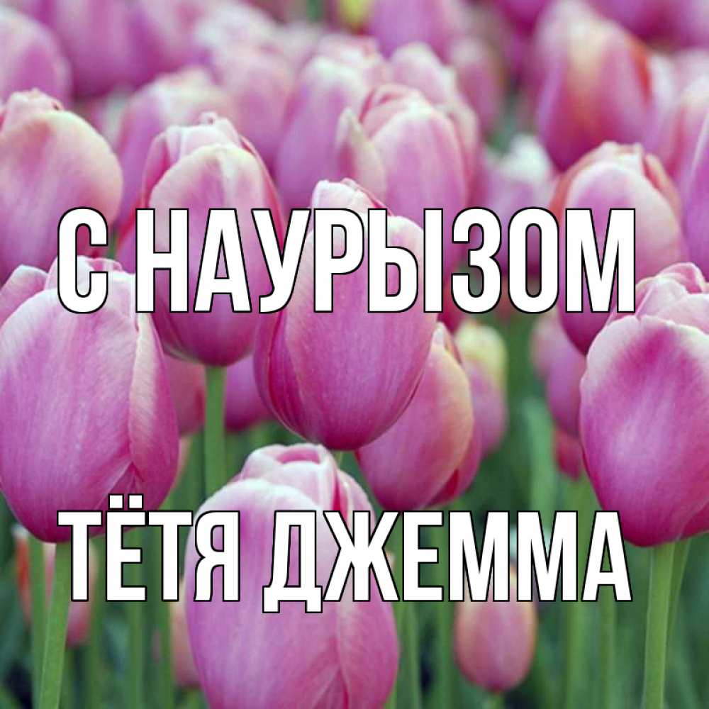 Открытка на каждый день с именем, Тётя-Джемма С наурызом праздник весны наурыз 69 Прикольная открытка с пожеланием онлайн скачать бесплатно 