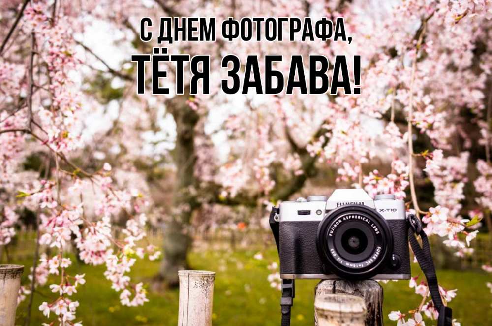 Открытка на каждый день с именем, Тётя-Забава С днем фотографа сирень с днем фотографа, фотоаппарат Прикольная открытка с пожеланием онлайн скачать бесплатно 