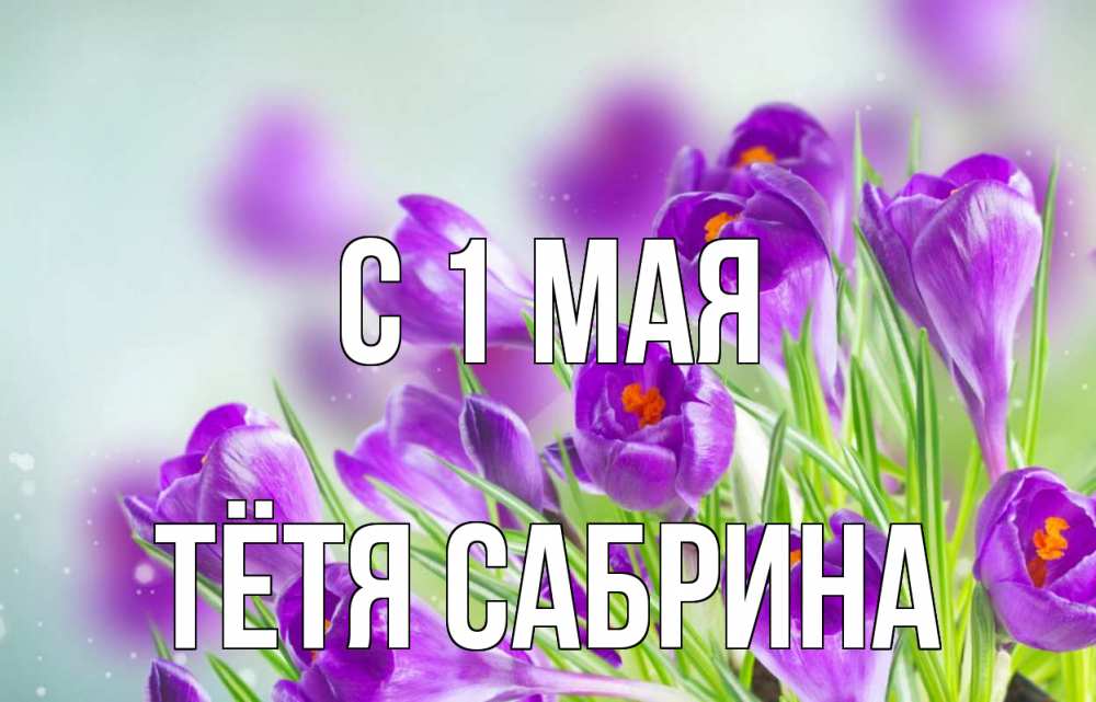 Открытка на каждый день с именем, Тётя-Сабрина С 1 мая 1 мая Прикольная открытка с пожеланием онлайн скачать бесплатно 