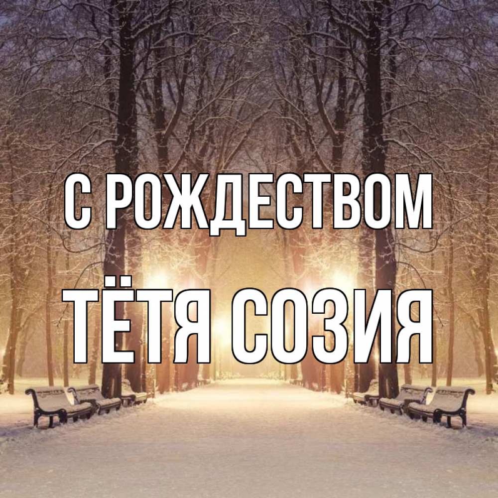 Открытка на каждый день с именем, Тётя-Созия С рождеством зима, парк, фонарь, лес Прикольная открытка с пожеланием онлайн скачать бесплатно 