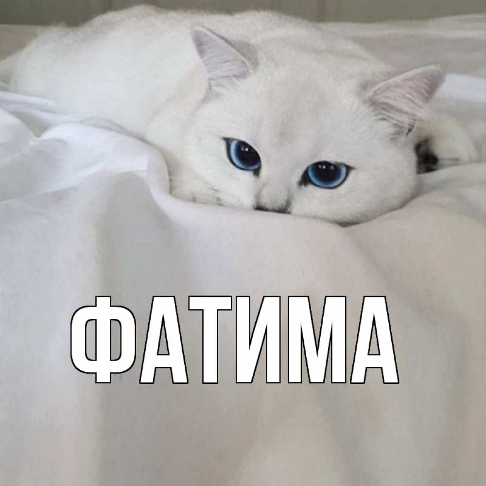 Открытка на каждый день с именем, Фатима Главная я очень по тебе скучаю и тоскую Прикольная открытка с пожеланием онлайн скачать бесплатно 