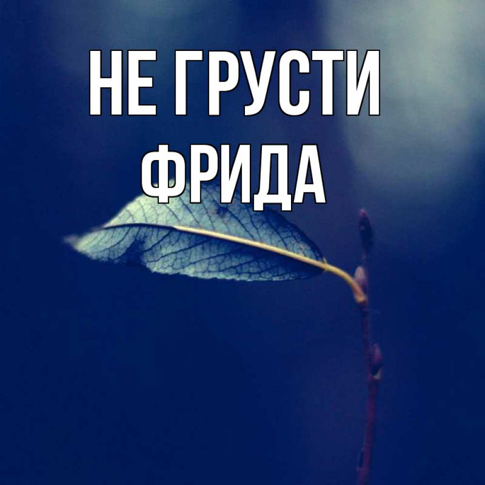 Открытка на каждый день с именем, Фрида Не грусти растение Прикольная открытка с пожеланием онлайн скачать бесплатно 